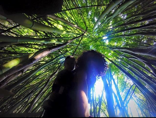 Jungle Yoga Waterfall Hike