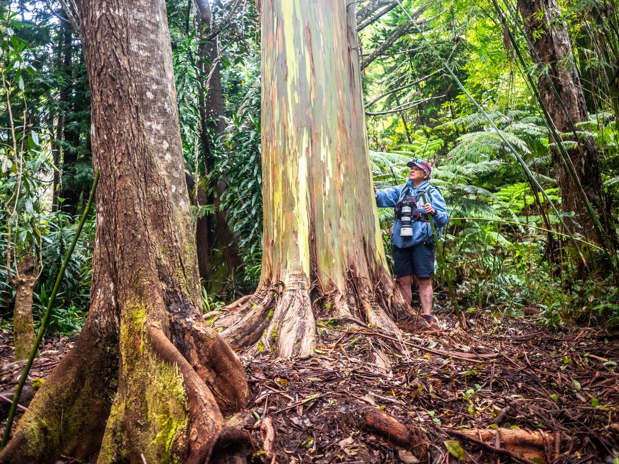 Sanctuary Snapshots: A Guided Photo Journey (Thursdays)