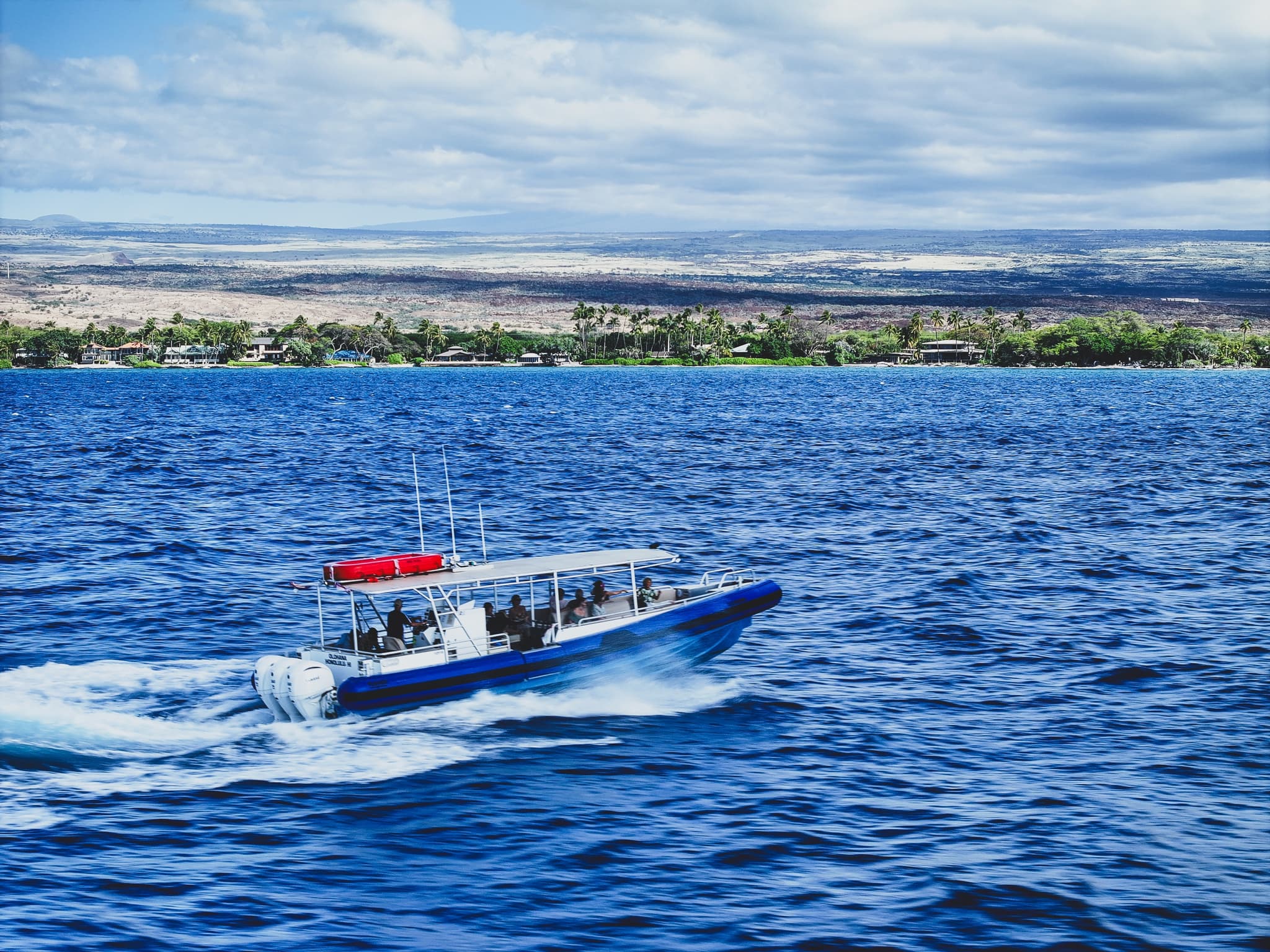 Mauna Kea Deluxe Whale Watch Cruise