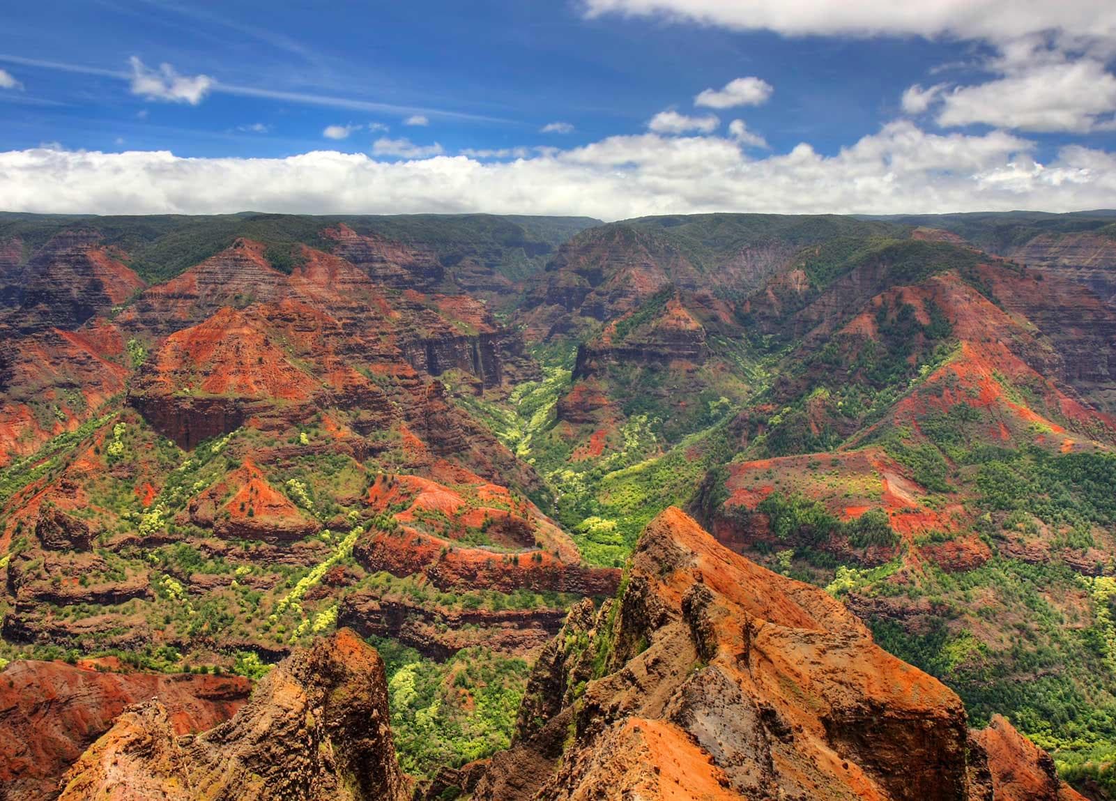 Kauai: Waimea Canyon & South Shore Guided Tour
