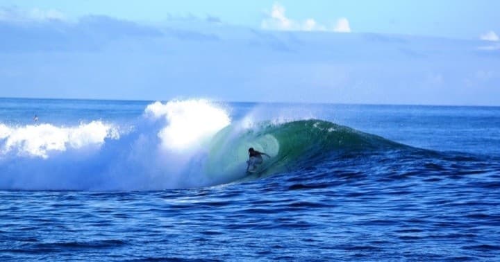 VIP Private Limousine "Island Sites" & "Scenic Tour" of Oahu!