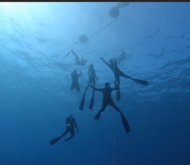 Fii Freediving Course