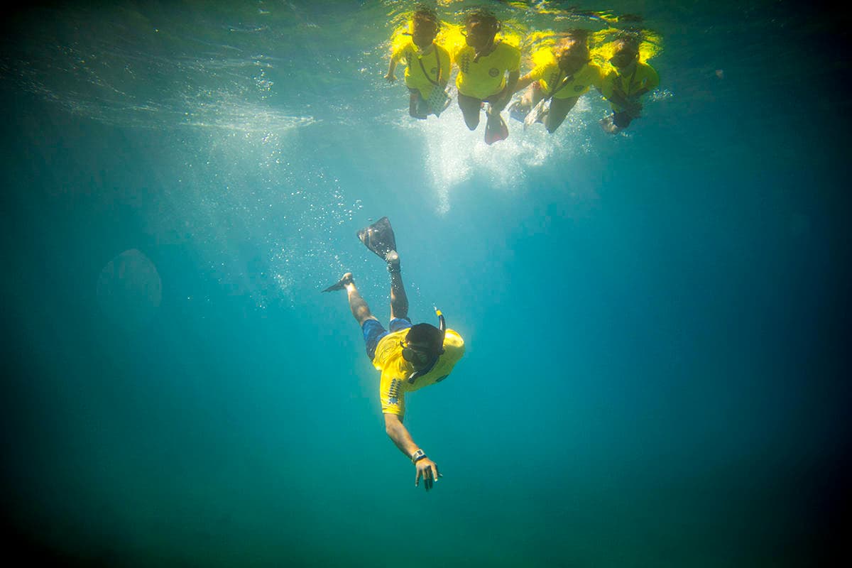 Guided Snorkel Tour to Puʻu Kekaʻa