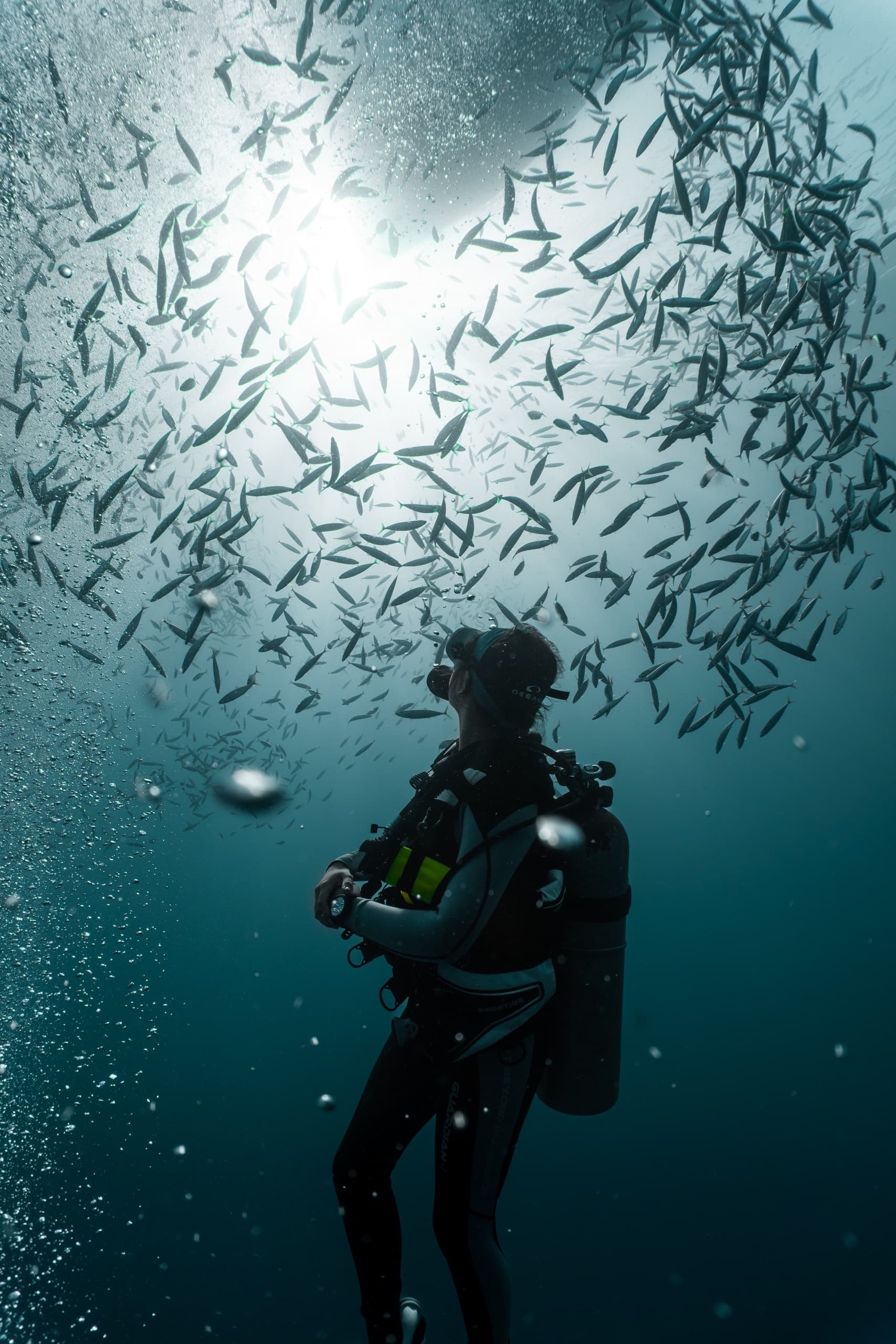 2 Tank Semi-Private Shipwreck/Reef Scuba Dive Boat Adventure! (Certified only)!