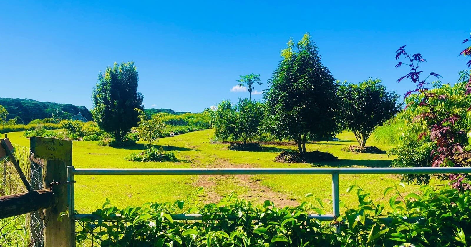 Kulaniapia Farm Tour