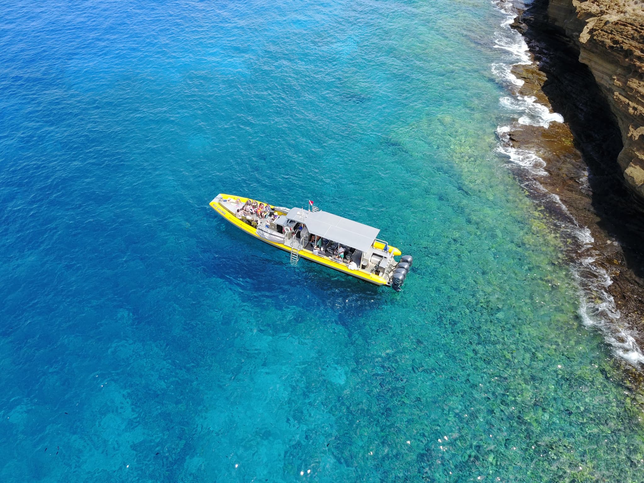 Molokini/Turtle Town Snorkel
