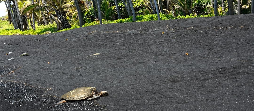 33A- Hawaii Volcanoes National Park Experience from the Big Island
