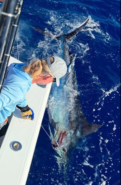 6 Hour Fishing Escape 40' Cabo