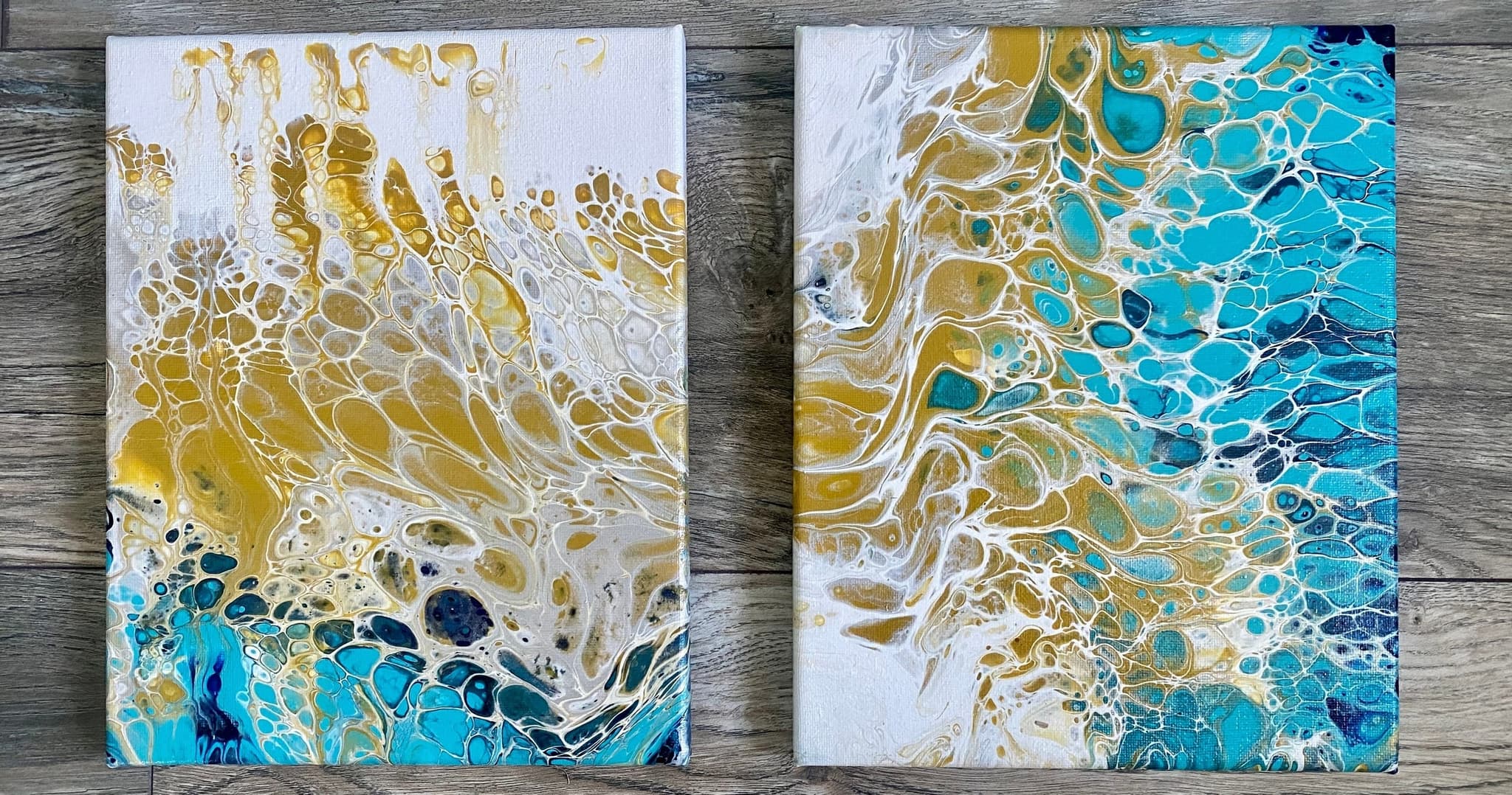 Fluid Acrylic Pour Class • 2 canvases 2 styles