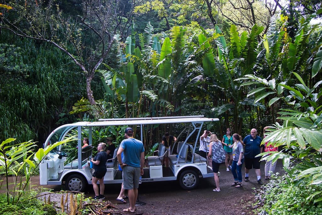 Kipahele Tours