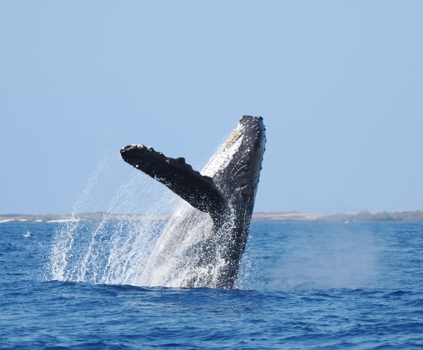 Photography Expedition