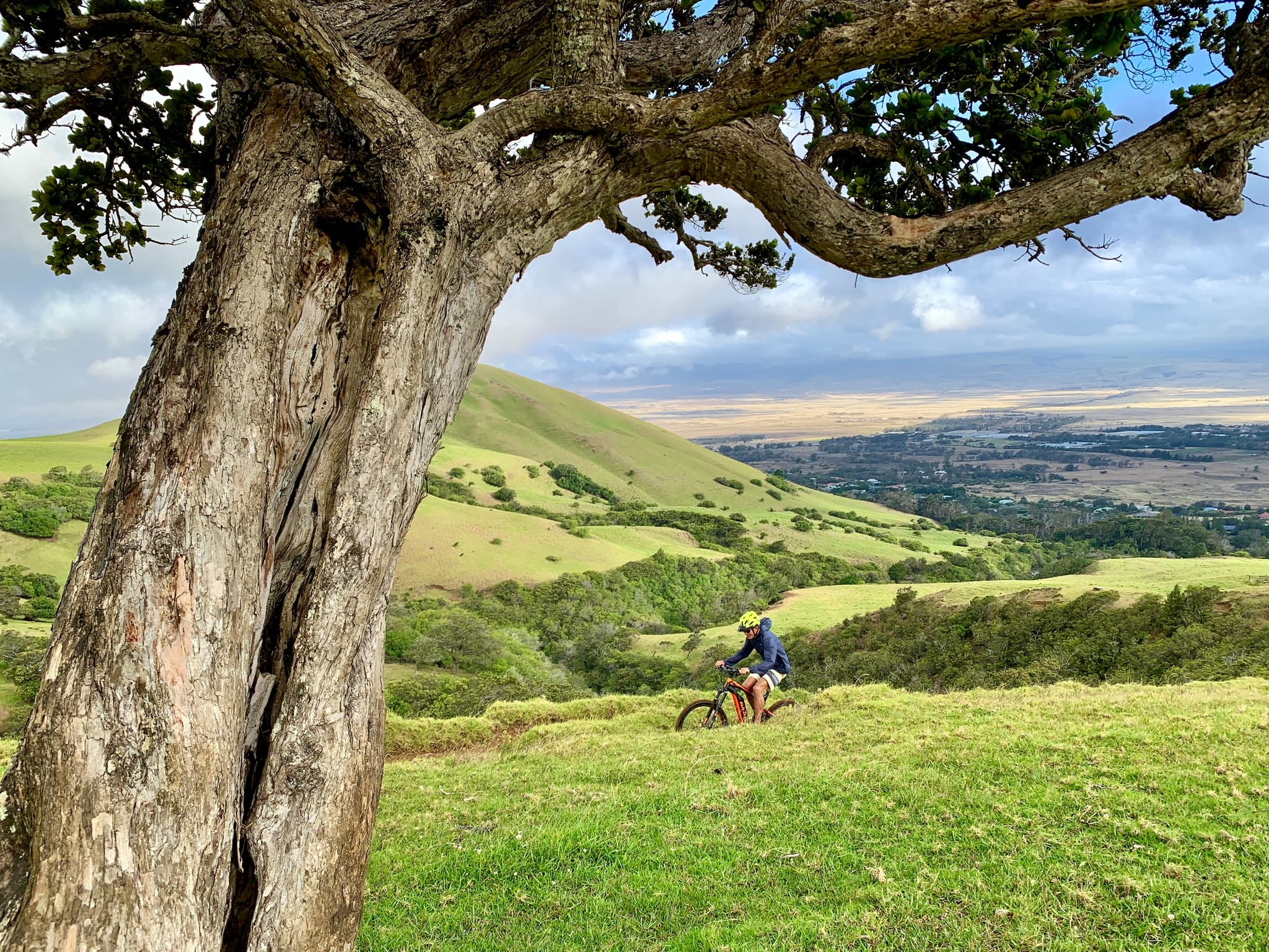 Traditional or E-Mountain Biking at Anna Ranch