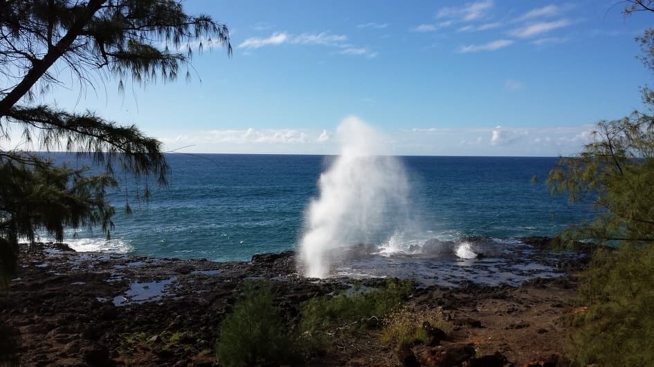Waimea Canyon Tour - From Kauai (2nd van)