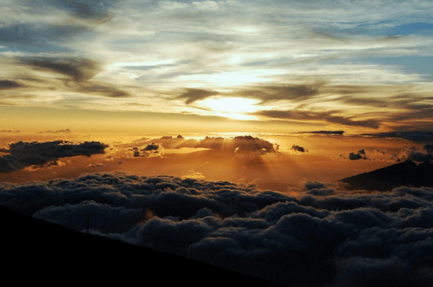 Private Upcountry Maui VIP Sunset Tour - Full Day