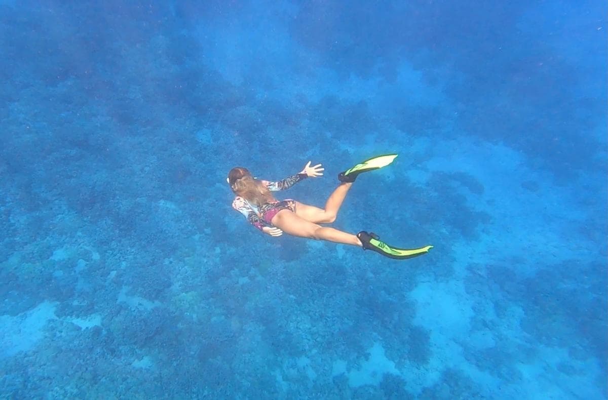 Economy Snorkeling Charter