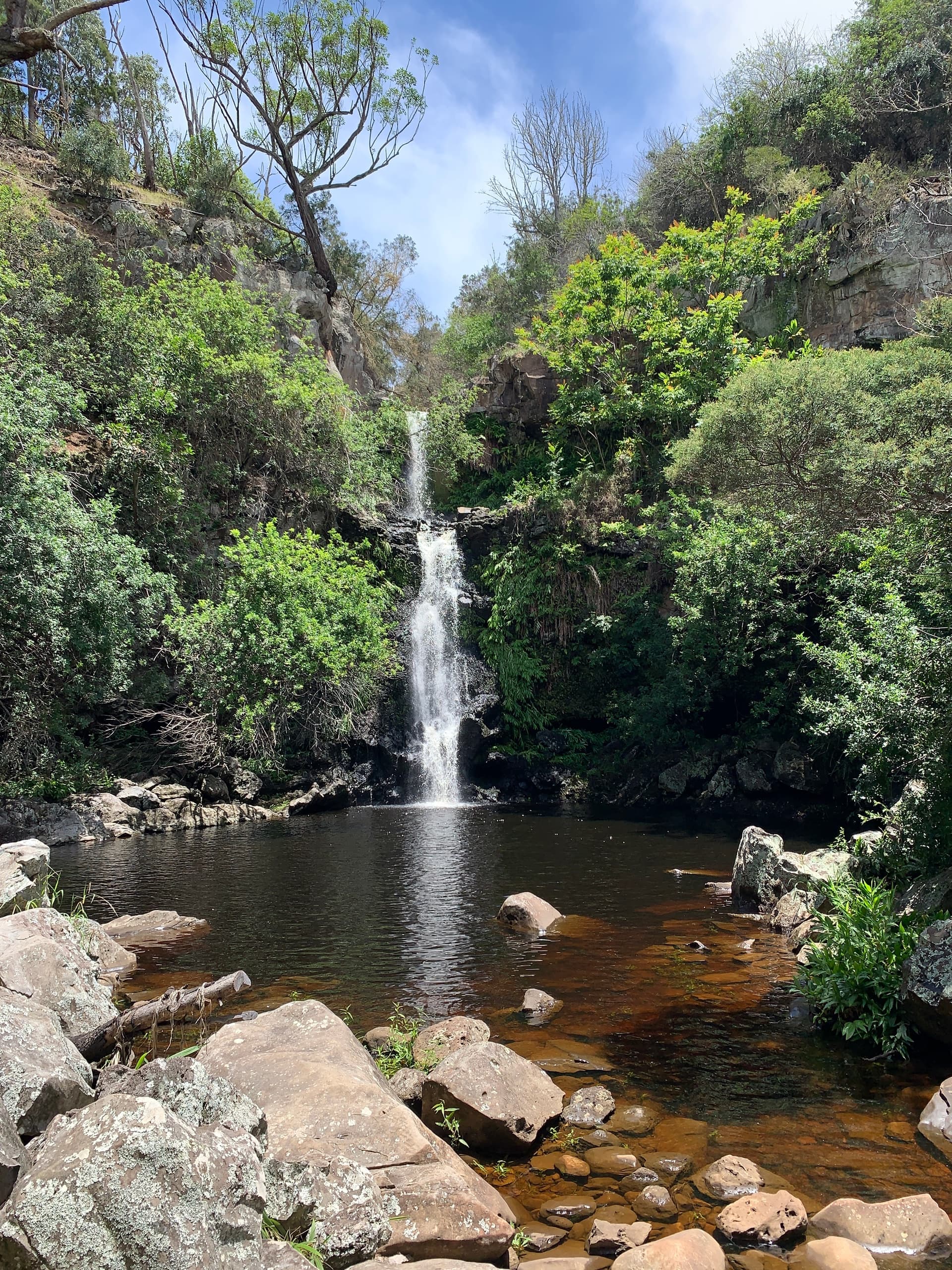 Traditional or E-Mountain Biking at Anna Ranch