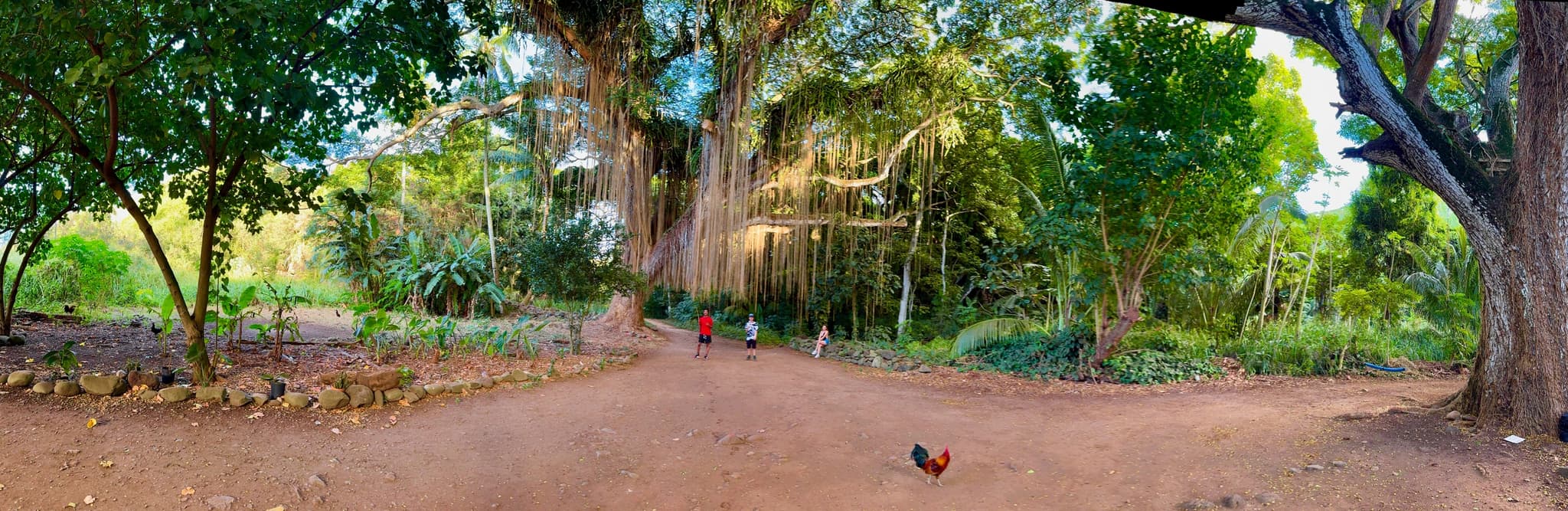 Locals' Favorites: Private Maui Tour