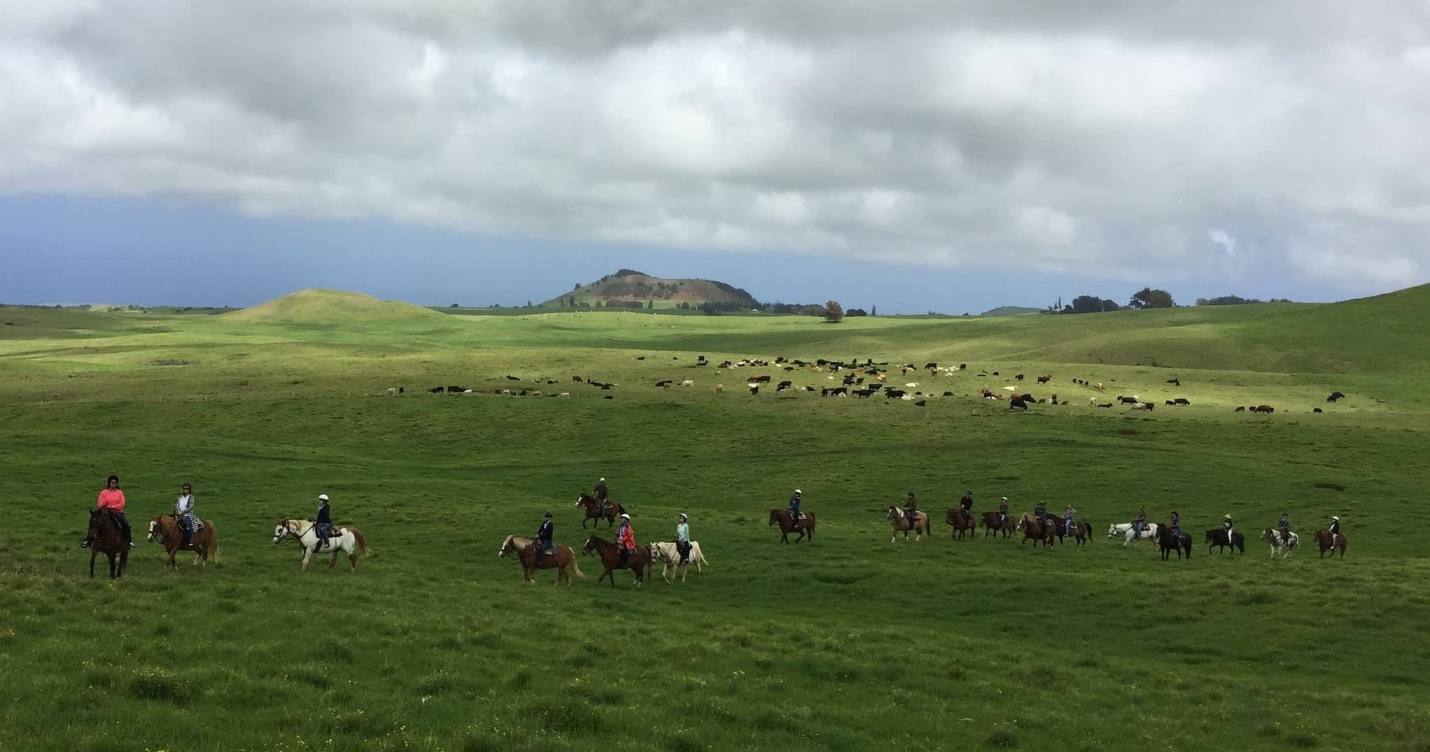 Afternoon Paniolo Ride