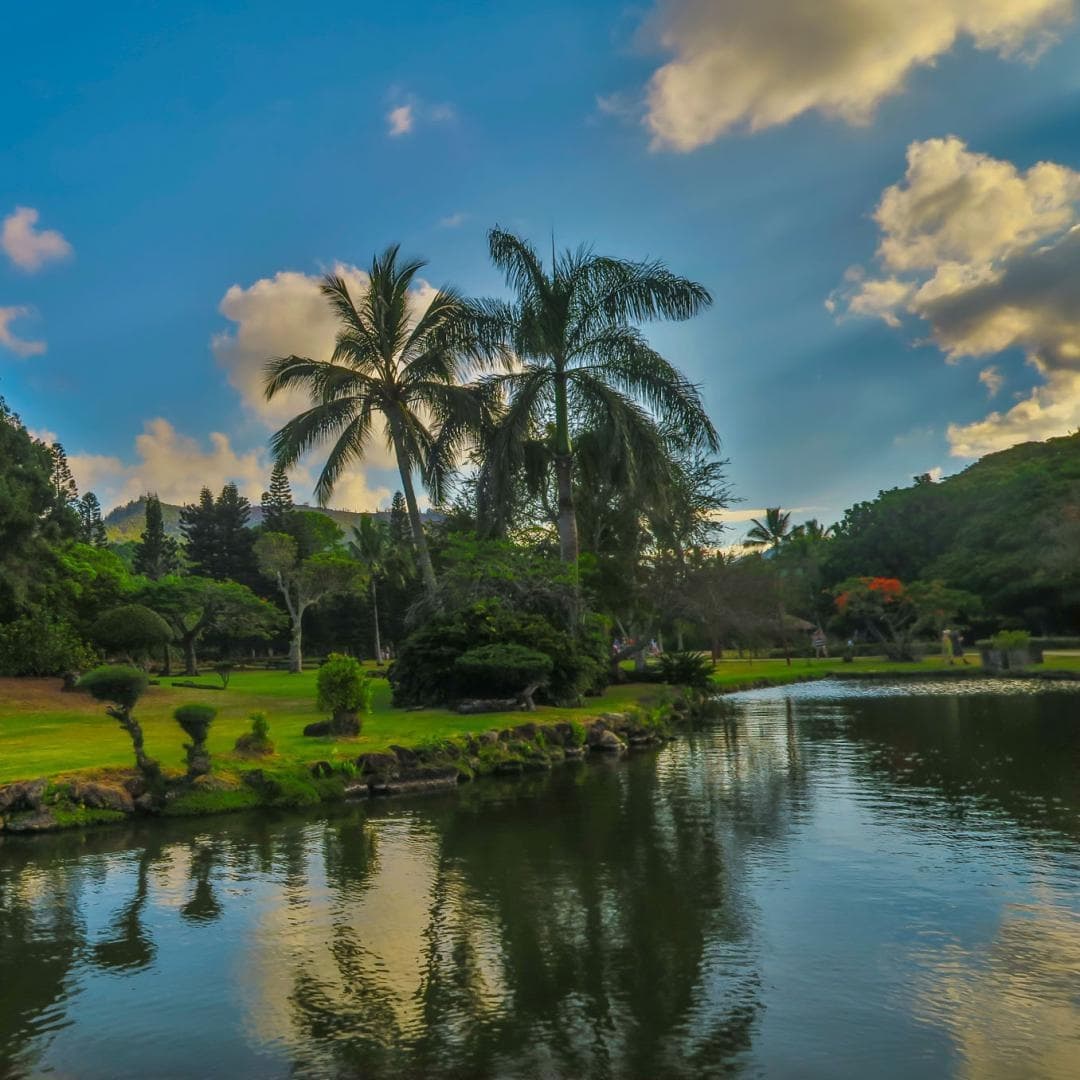 KAUAI - Hop-On Hop-Off Tour for Cruise Ship Guests