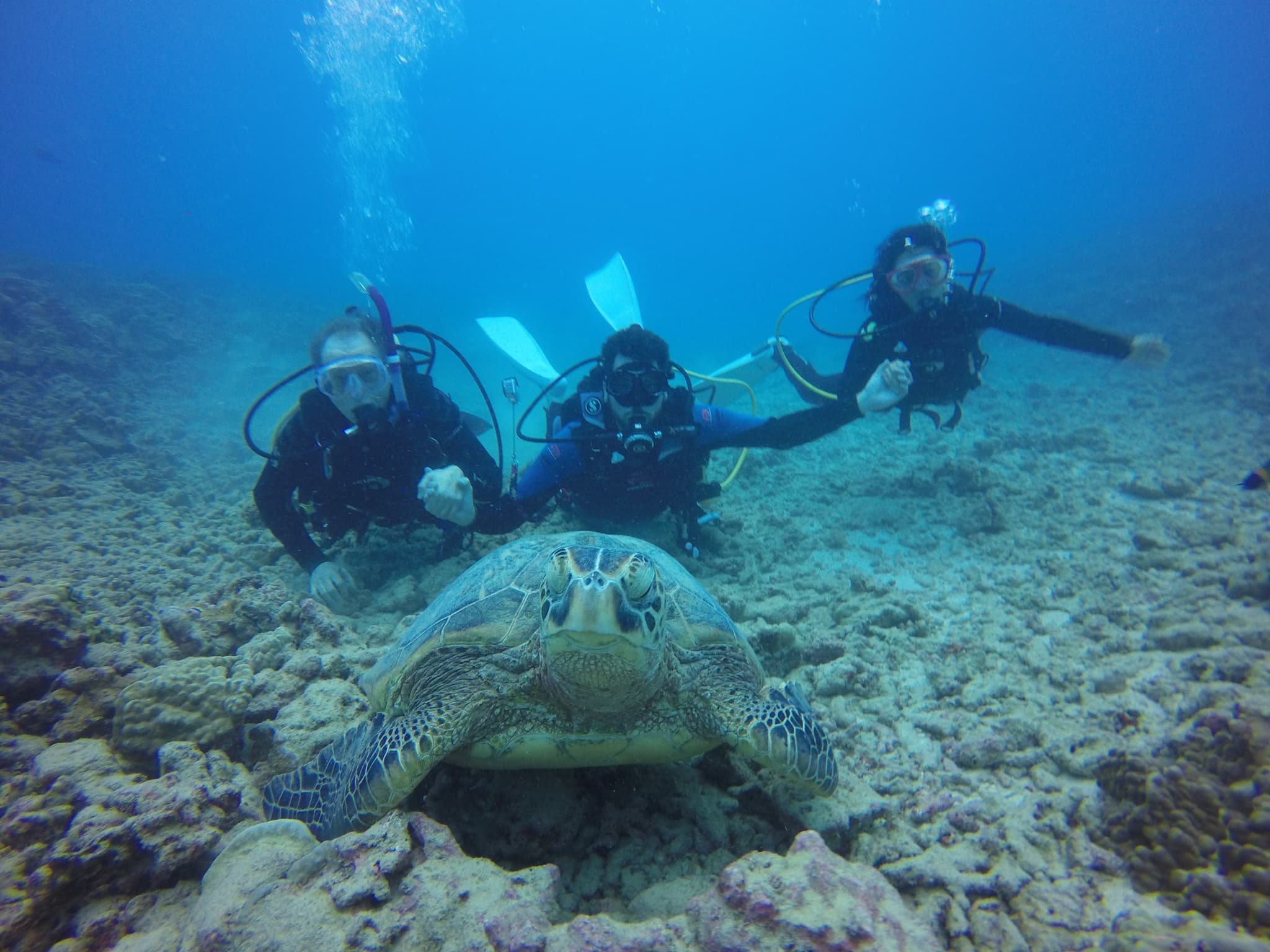ミックスダイビングプラン
