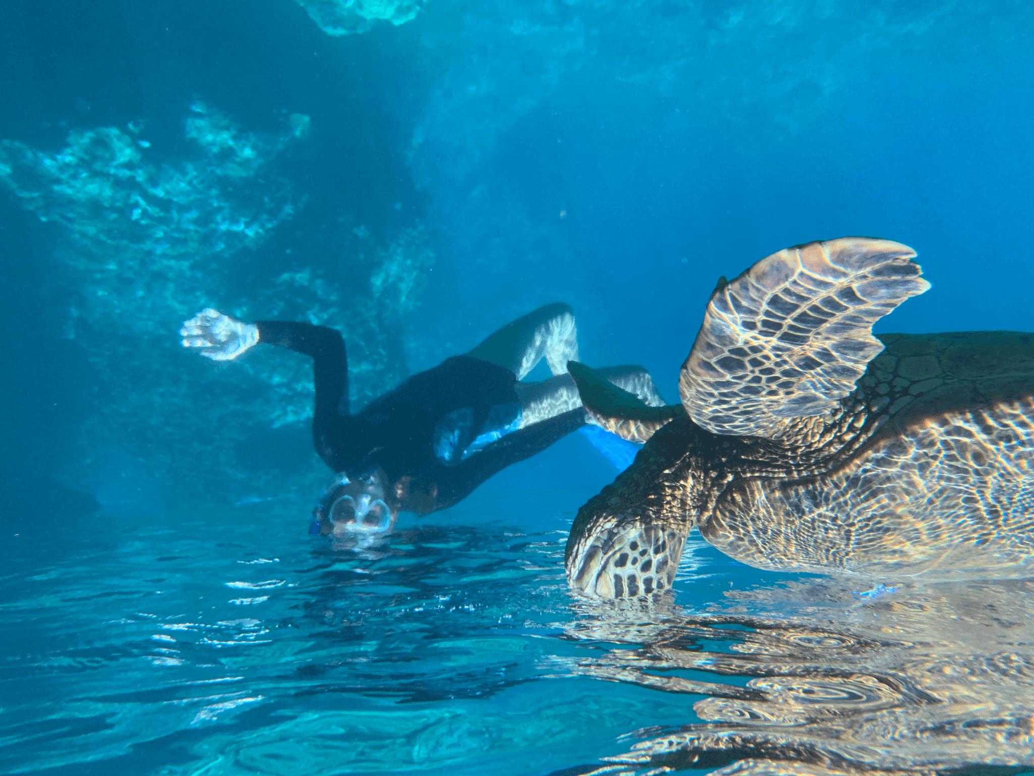 Maui Snorkel & Picnic Tour