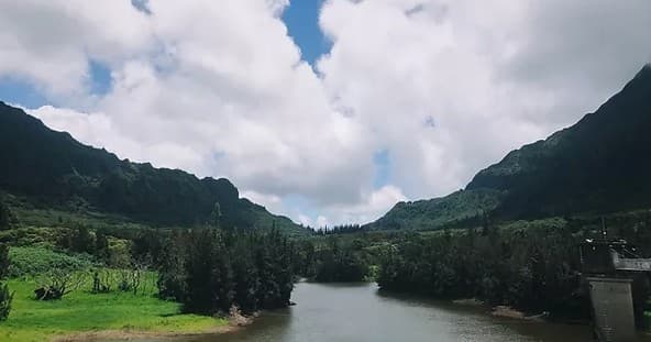 Jungle Waterfalls Adventure