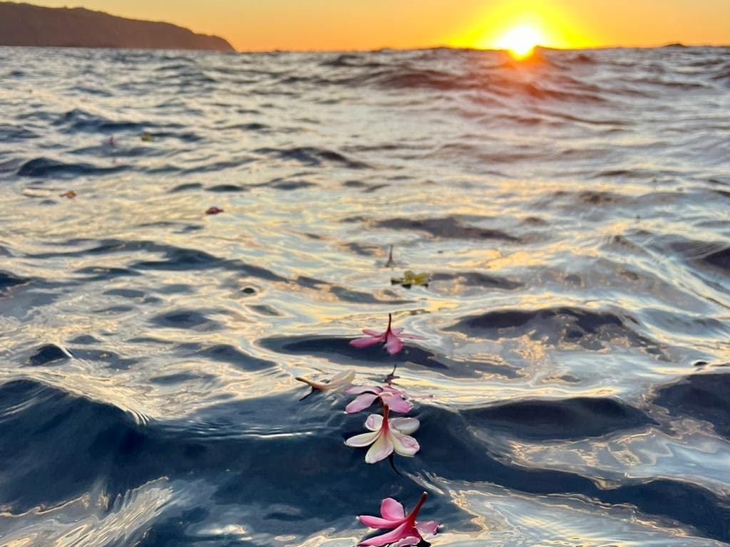 1 Hour Scattering of Ashes Ceremony