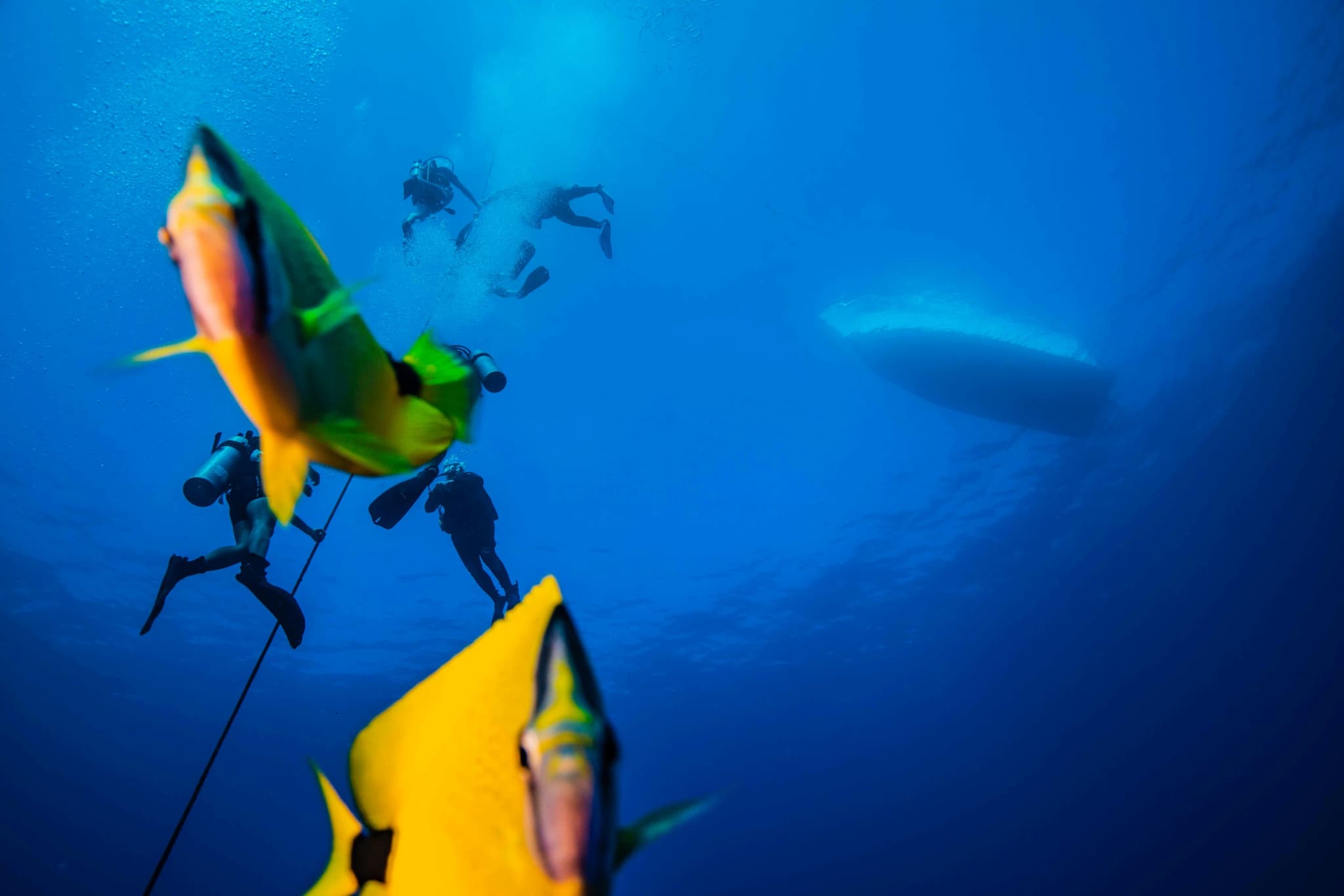 Waikiki 2 Tank Scuba Dive