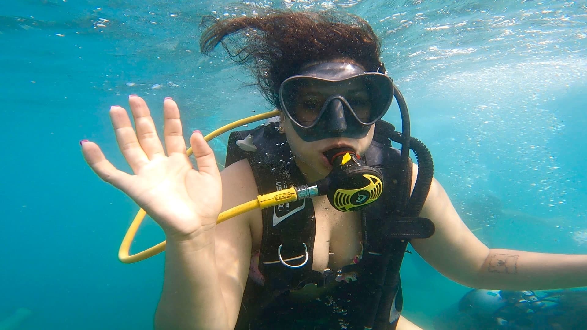 Private Beginner Scuba Diving Tour With Free Videos