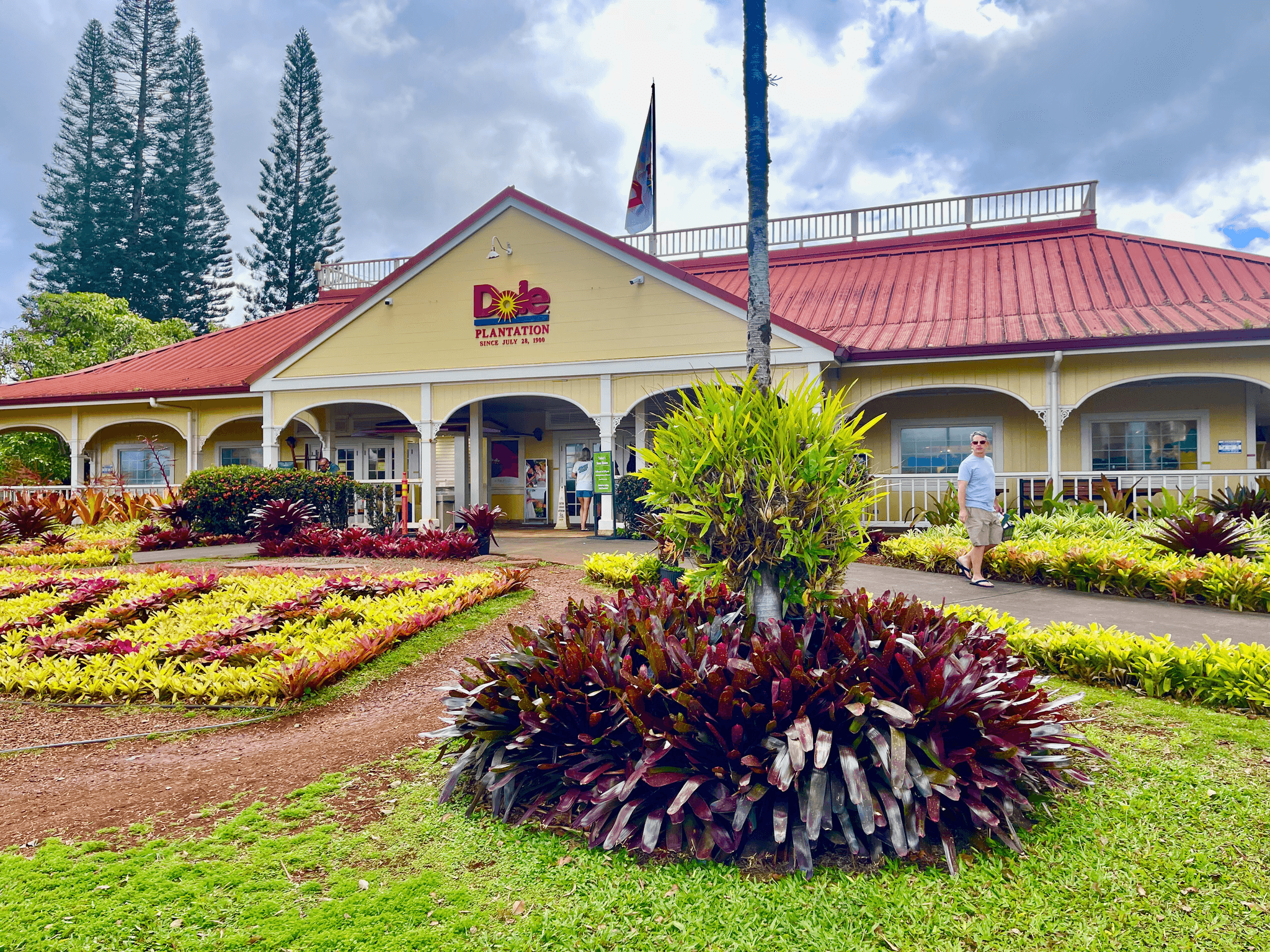 Waikiki - Dole Plantation & Haleiwa Town Shuttle