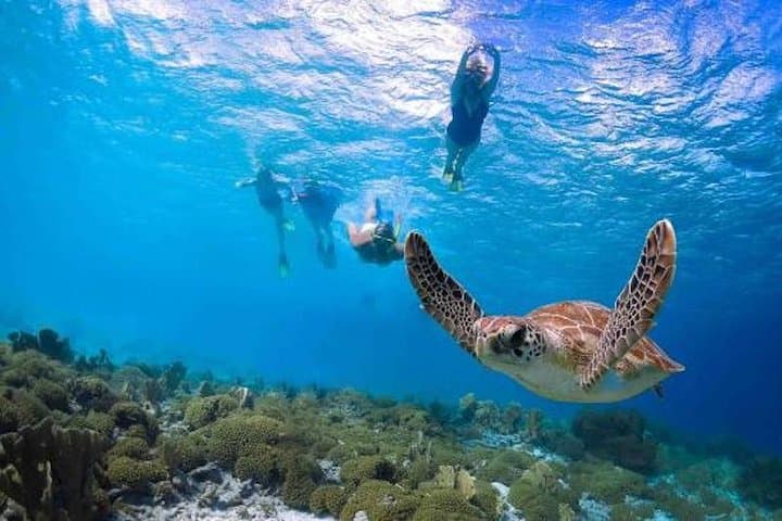 Kauai’s Ultimate Guided Shore Snorkel (NO BOAT) in South Poipu