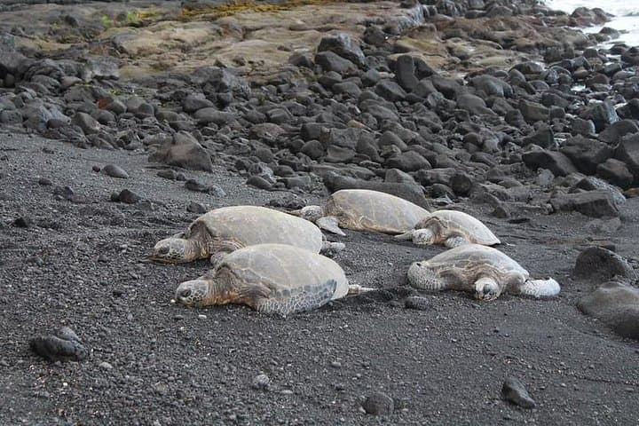 Custom Volcanoes National Park Tour with extra stops