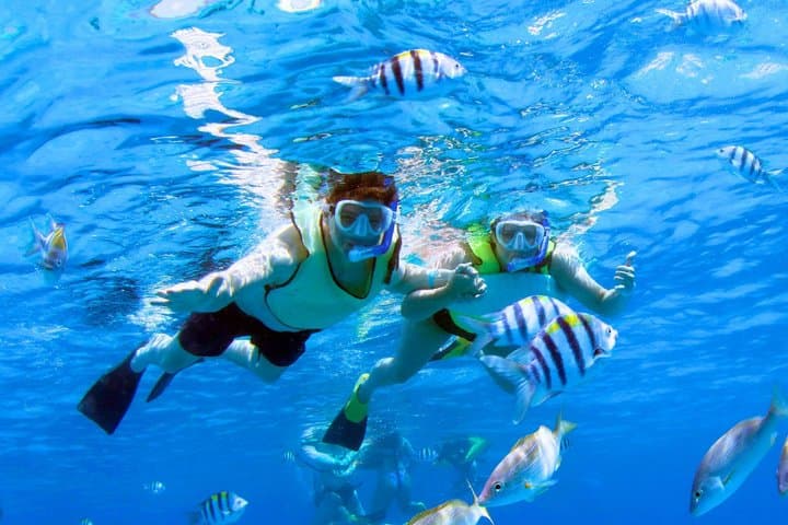 3 Zipline Adventure and 3.5 hour Afternoon Snorkel Cruise