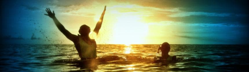 Sunset Dolphin Watch & Snorkel Cruise with Dinner and Cocktails