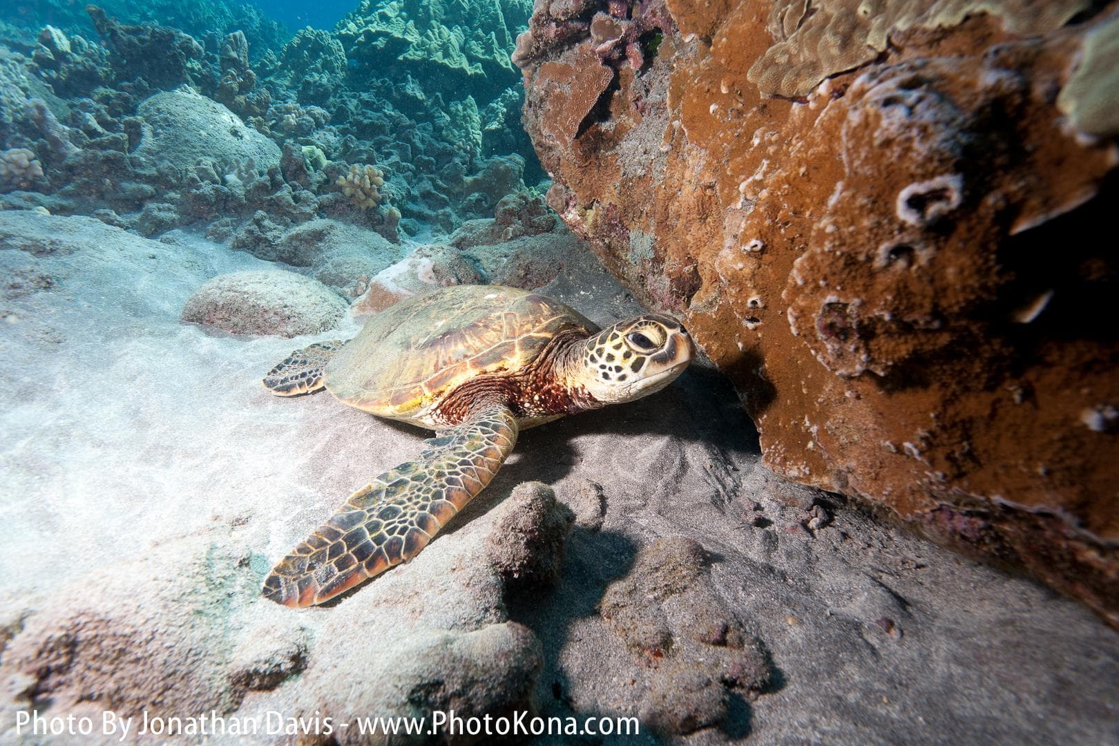 Local Two Tank Morning Charter
