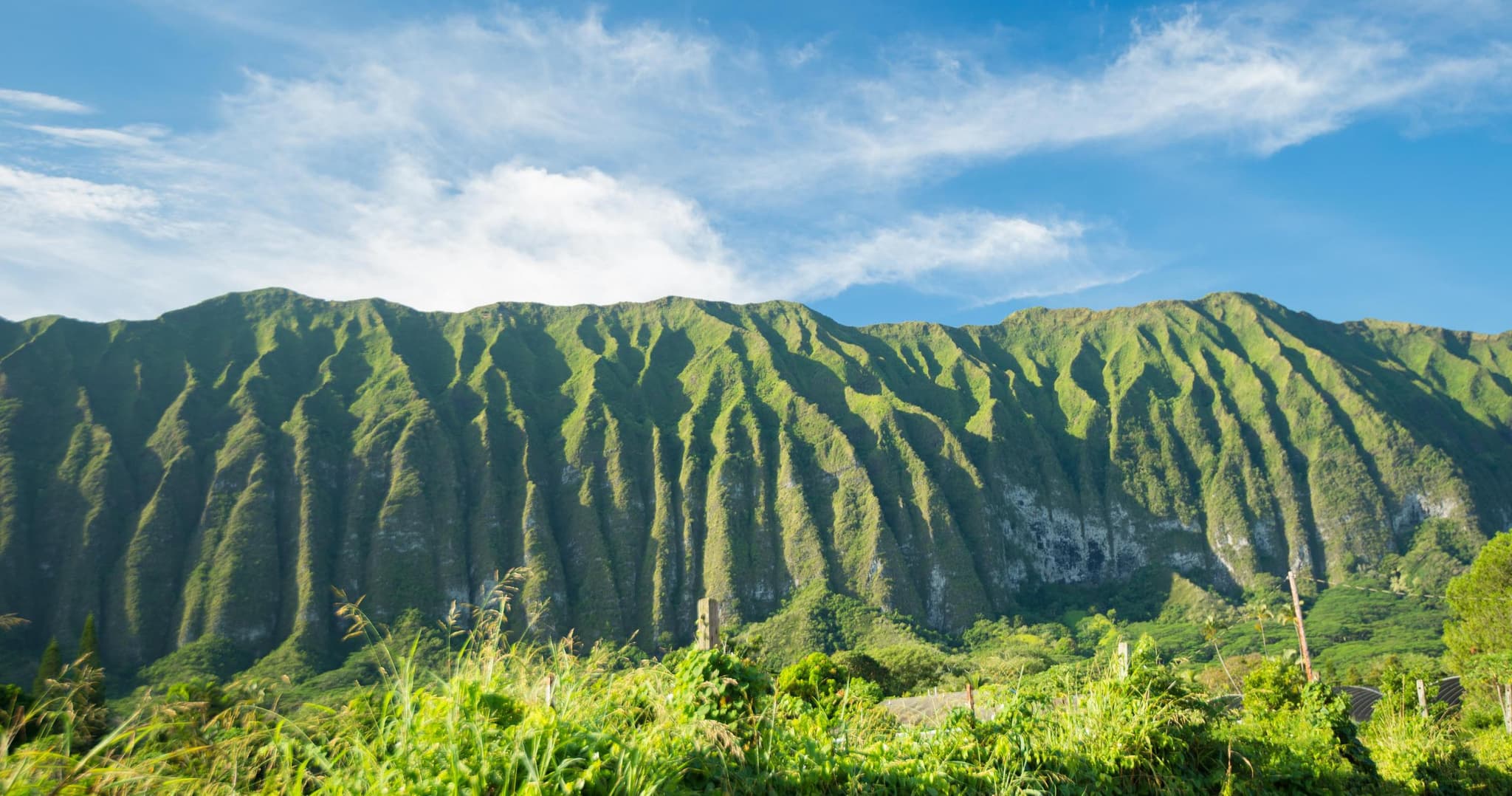 Beautiful Colors of Hawaii Photo Tour