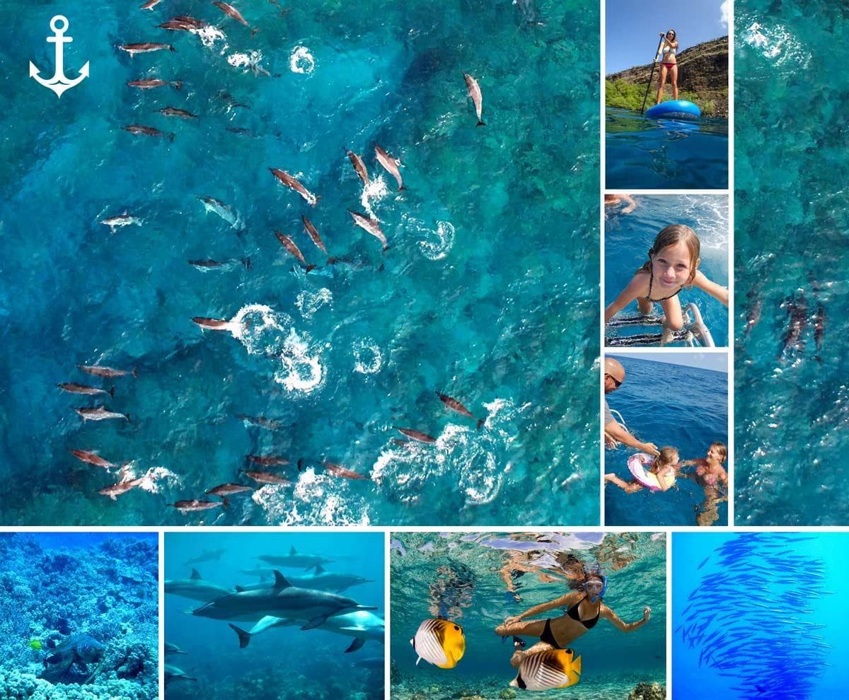 K-Bay Reef Snorkel and Dolphin Encounter