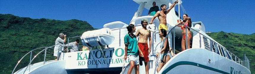 Morning Dolphin Watch & Snorkel Cruise with Lunch and Drinks