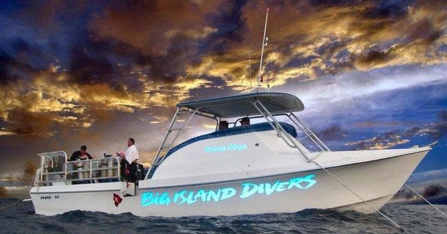 Twilight & Manta Ray Two Tank Dive