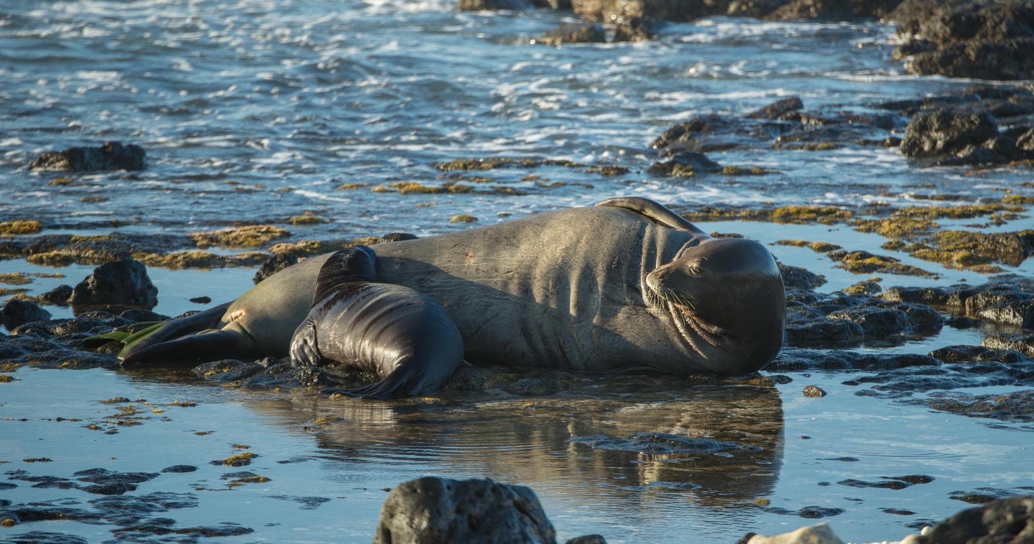 Sunrise Tour with Malasadas