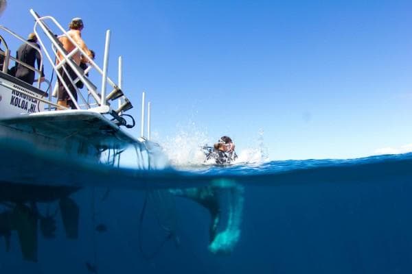 Morning 2 Tank Boat Dive for Experienced Divers