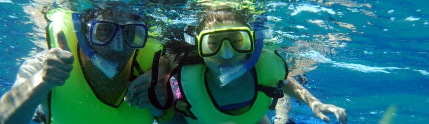 Afternoon Dolphin Watch & Snorkel Cruise with Lunch and Drinks