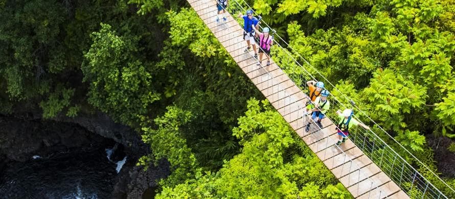 Umauma Falls 9-Line Zipline Tour