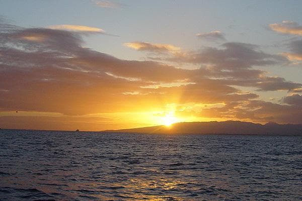 Mimosa Sunrise Cruise