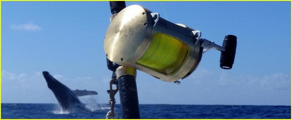 Ohana Fishing Charter