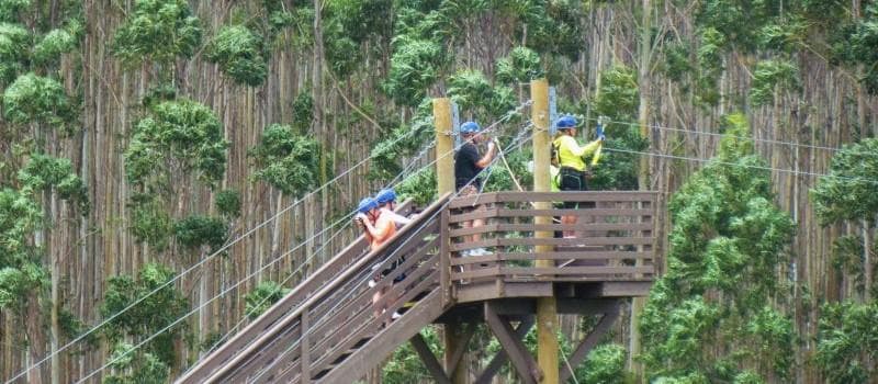 Umauma Falls 9-Line Zipline Tour