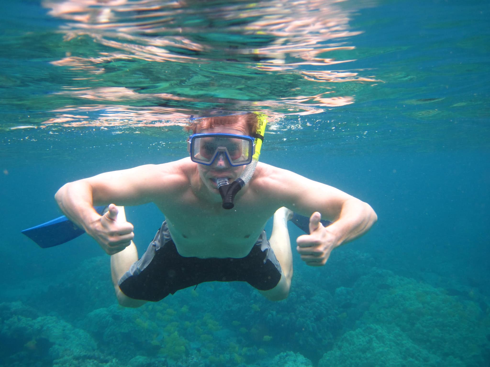 Deluxe Kona Snorkel Adventure (2 snorkel spots)