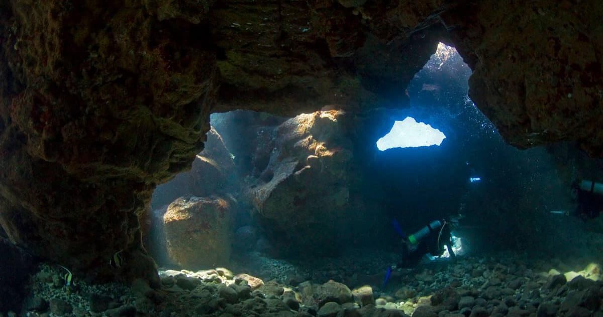 Afternoon Reef & Manta Snorkel/2-Tank Scuba Adventure