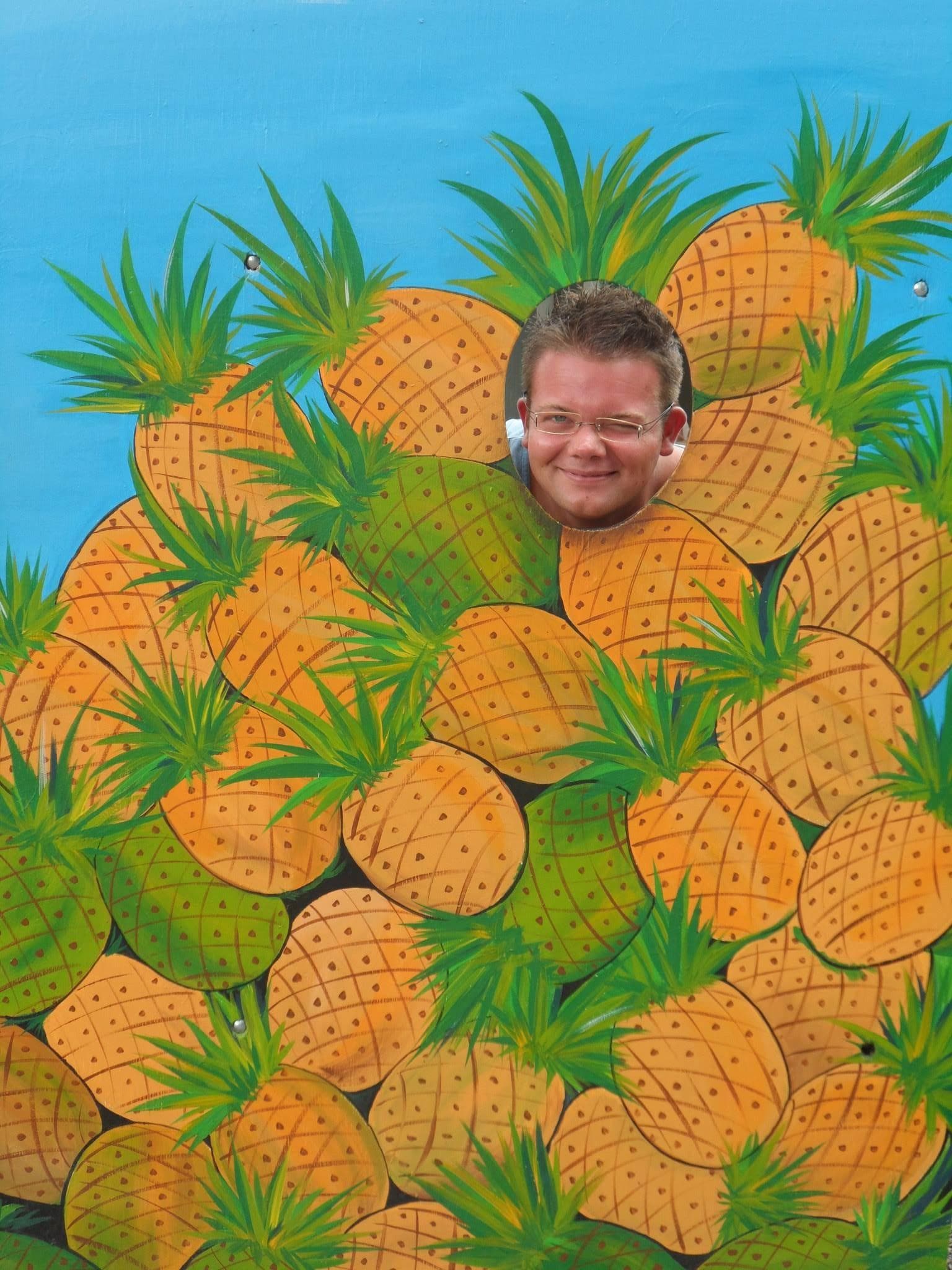 Oahu Highlights • 30 Spots • 10 Stops Circle Island