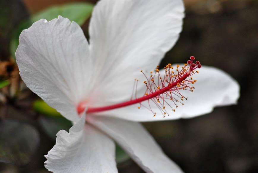 Full Day General Admission